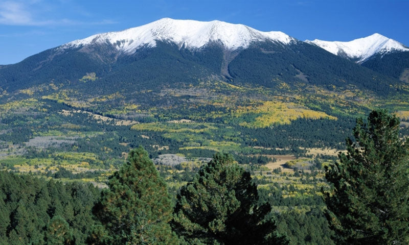 Top or Best Web & Mobile Design Agencies and Companies in Flagstaff, Arizona