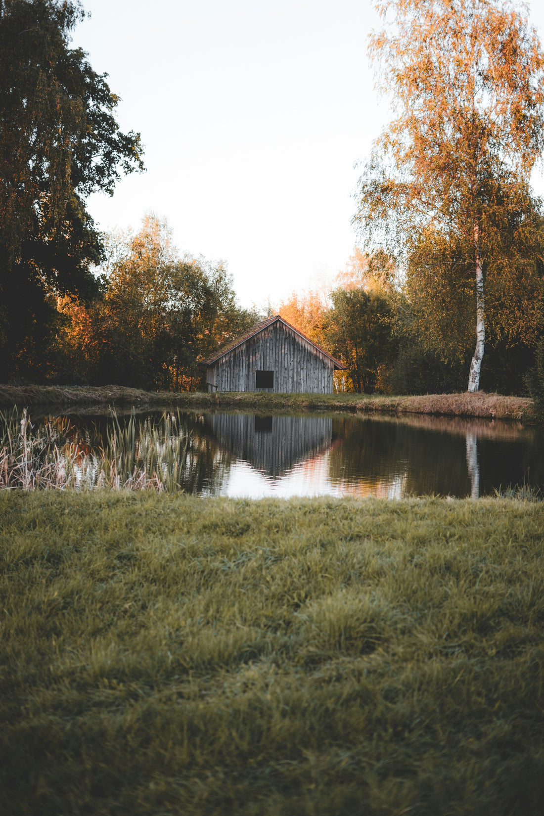 Top and Best Direct Mail Design Agencies and Companies in Suffolk, Virginia