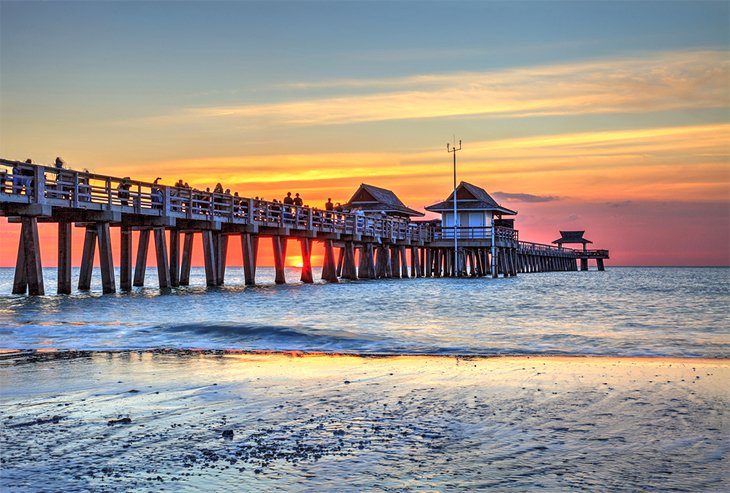 Top or Best Tattoo Design Agencies and Companies in Miami, Florida