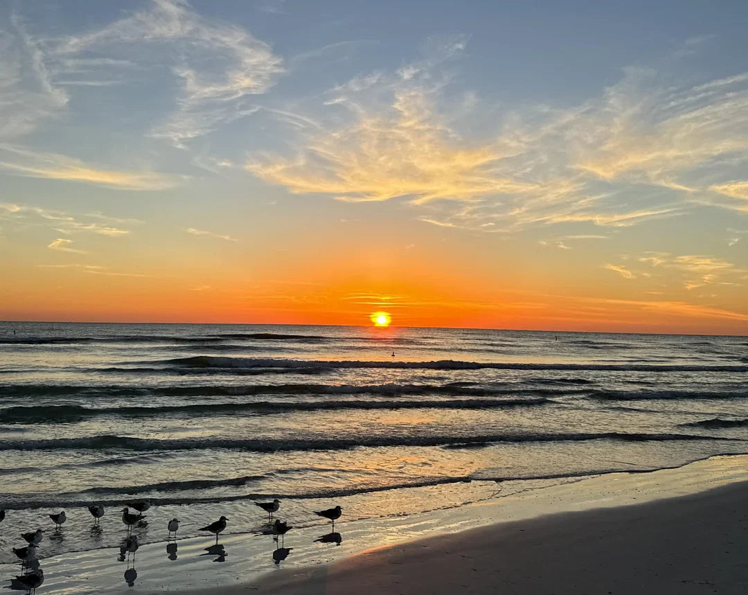 Top or Best App UI/UX Design Agencies and Companies in Daytona Beach, Florida