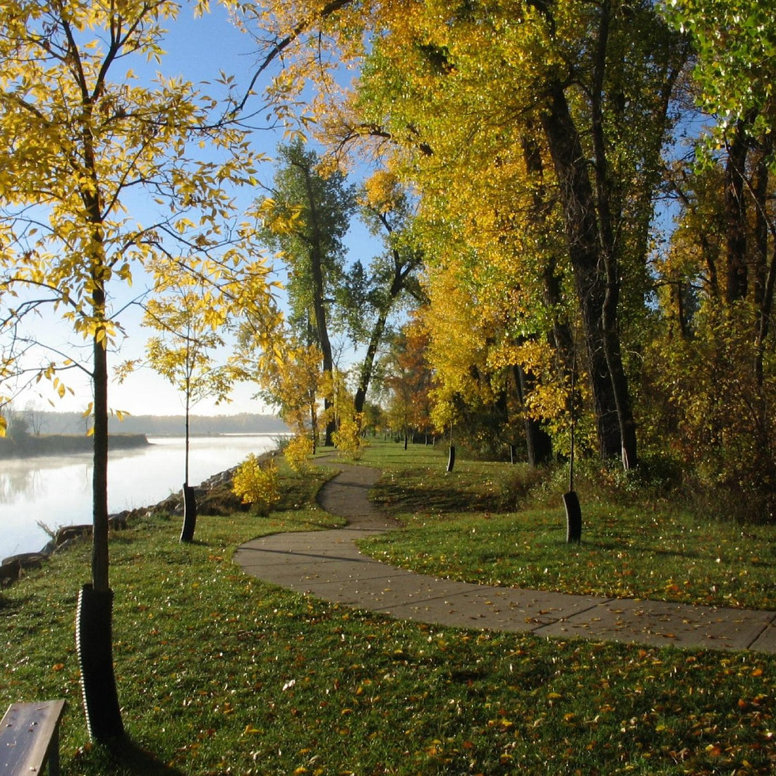 Top or Best Brochure Design Agencies and Companies in Mandan, North Dakota