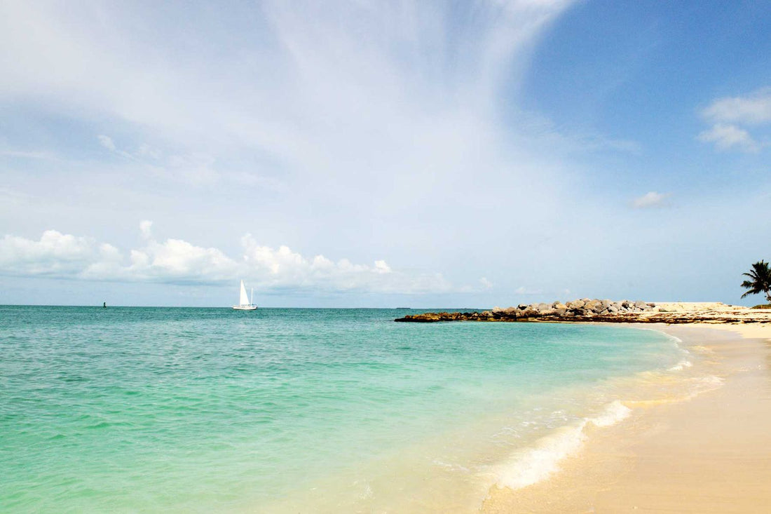 Top or Best Email Campaign Design Agencies and Companies in Fort Lauderdale, Florida