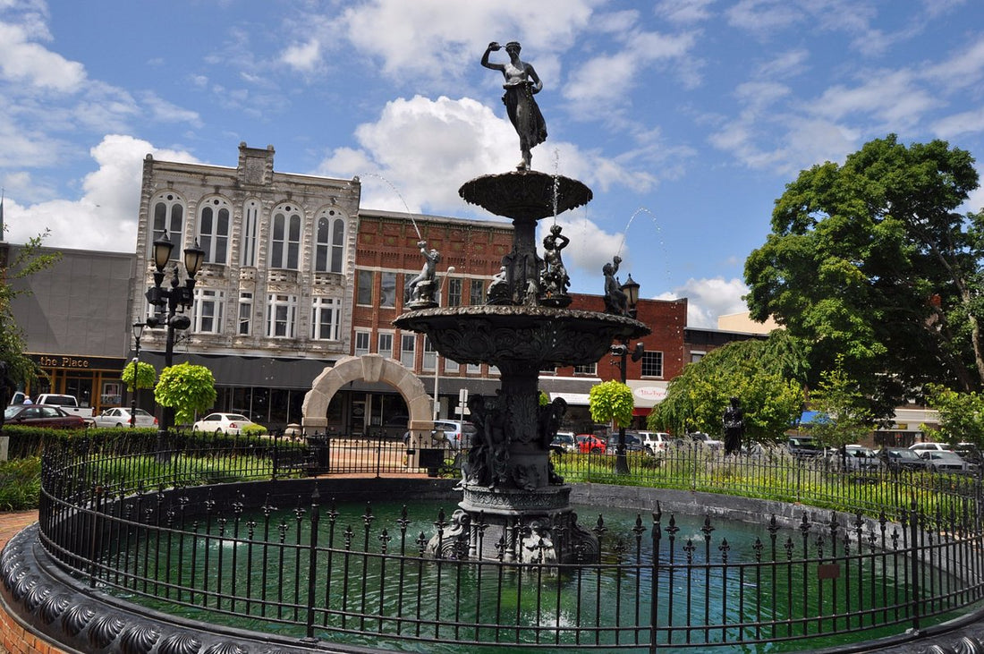 Top or Best Instagram Management Agencies and Companies in Bowling Green, Kentucky