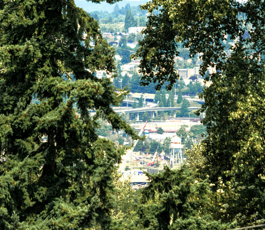 Top and Best Animation and Motion Graphics Agencies and Companies in Portland, Oregon