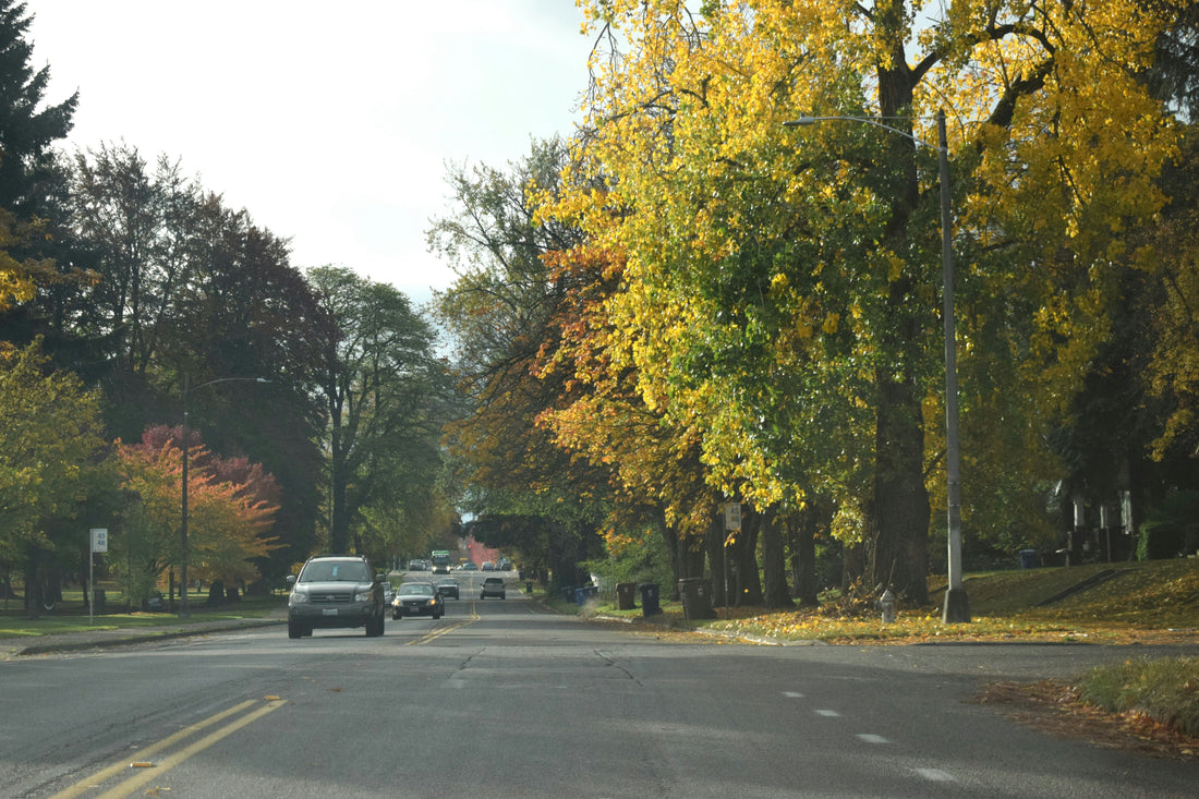 Top and Best Catalog Design Agencies and Companies in Franklin Township, New Jersey