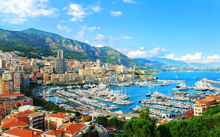 Best TikTok Management Companies in Monaco