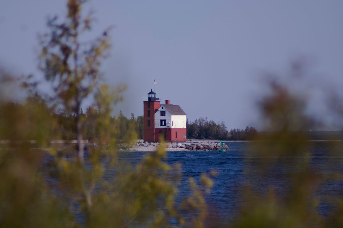 Top or Best Flyer Design Agencies and Companies in Lansing, Michigan