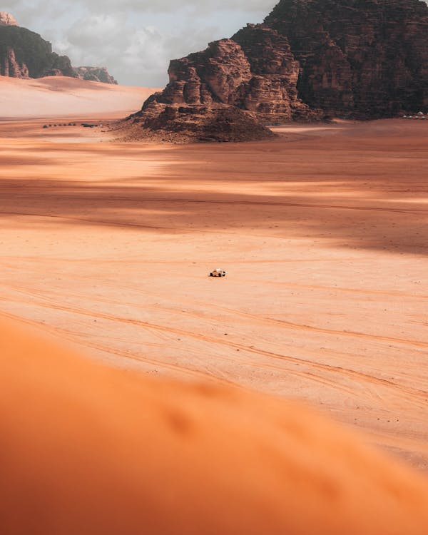 Best Instagram Management Companies in Jordan