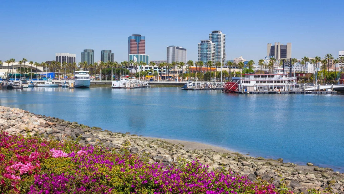 Top or Best Athlete Management Agencies and Companies in Long Beach, California