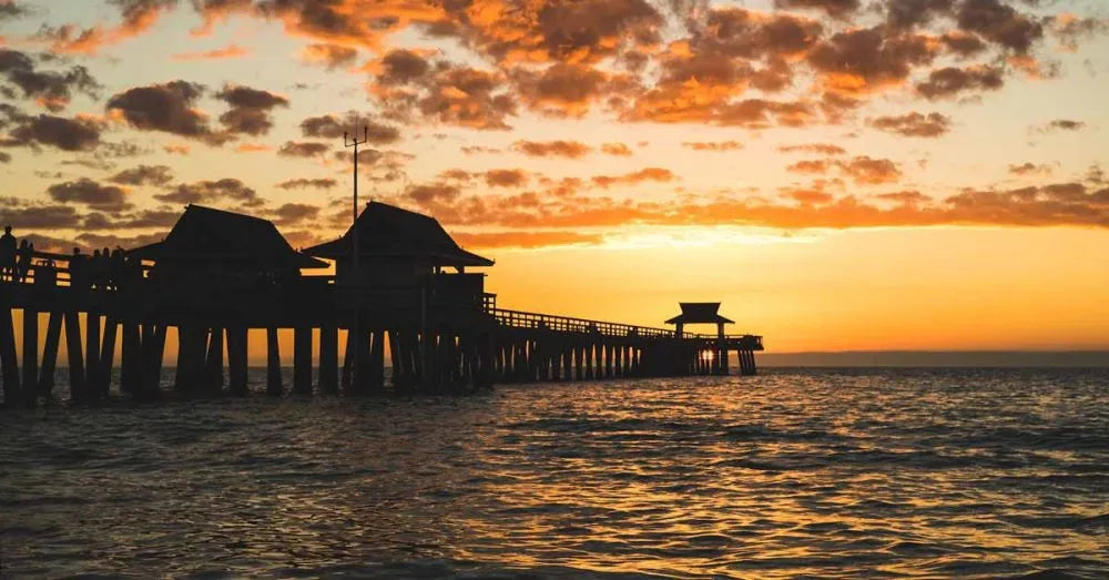Top or Best NFT Art Agencies and Companies in Sunrise, Florida