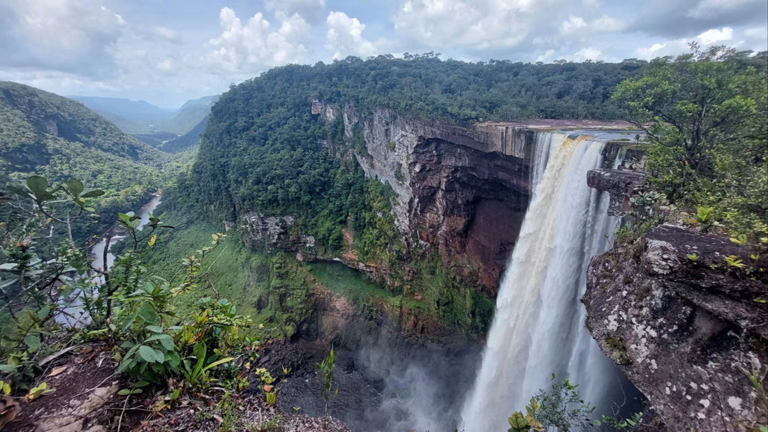 Top or Best Athlete Brand Partnership Agencies and Companies in Guyana