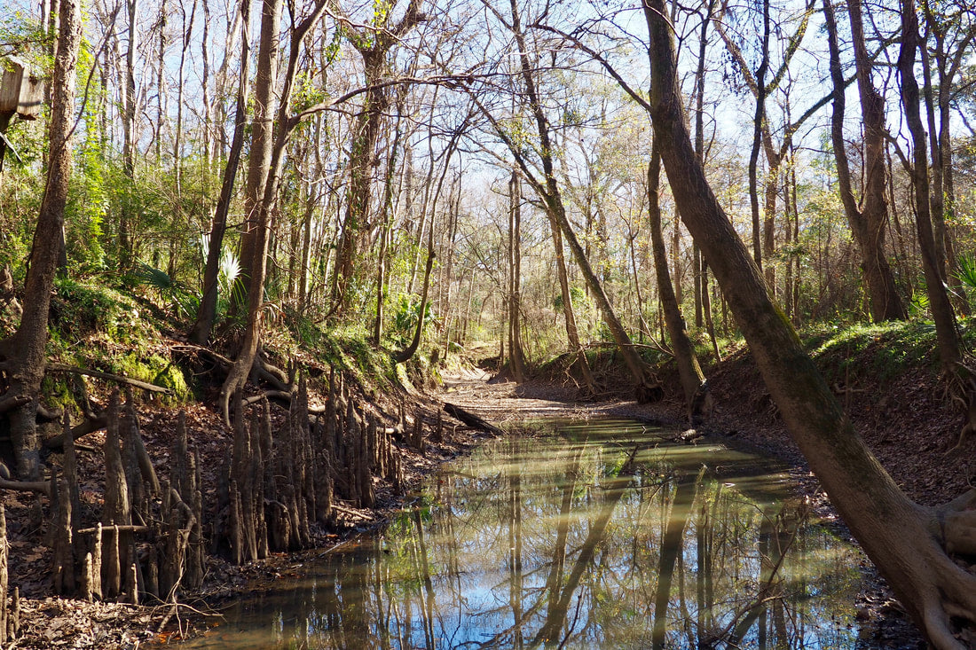 Top or Best Email Campaign Design Agencies and Companies in Lafayette, Louisiana