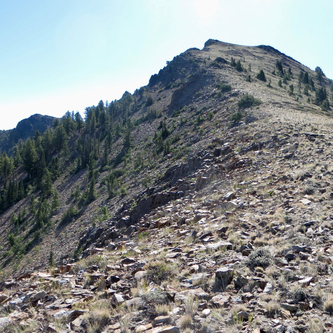 Top or Best Flyer Design Agencies and Companies in Hayden, Idaho