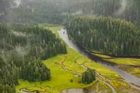 Top or Best Catalog Design Agencies and Companies in Gateway, Alaska