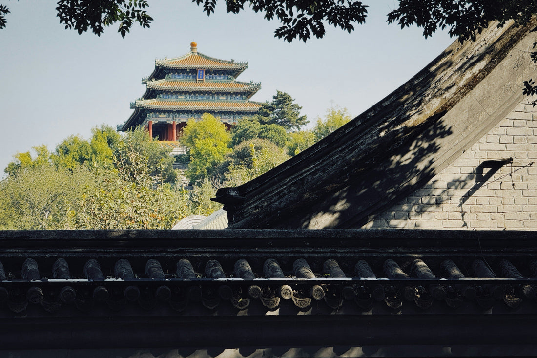 Top or Best Athlete Agencies and Companies in Beijing, China