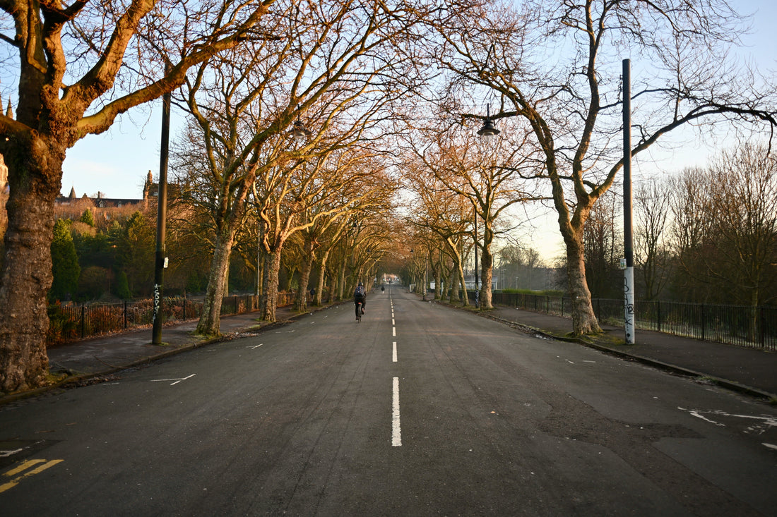 Top or Best Menu Design Agencies and Companies in Camden, New Jersey