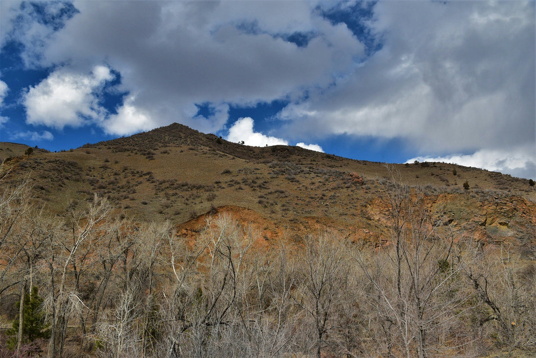 Top or Best AR Filters and Lenses Agencies and Companies in Spring Valley, Nevada