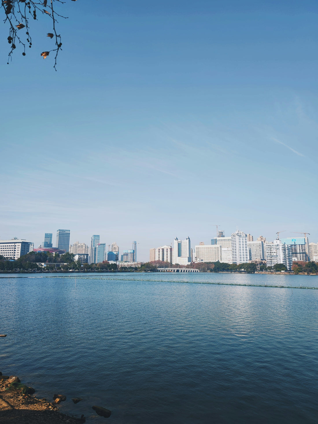 Top or Best Virtual Background Design Agencies and Companies in Wuhan, China