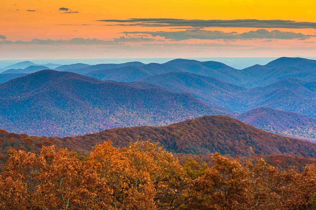 Top Social Media Management Companies in Georgia