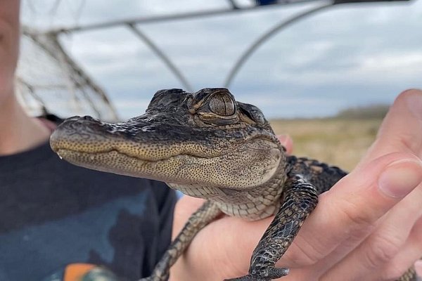 Top or Best Direct Mail Design Agencies and Companies in Marrero, Louisiana