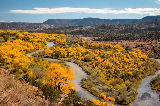 Top 5 Virtual Background Design Agencies in New Mexico