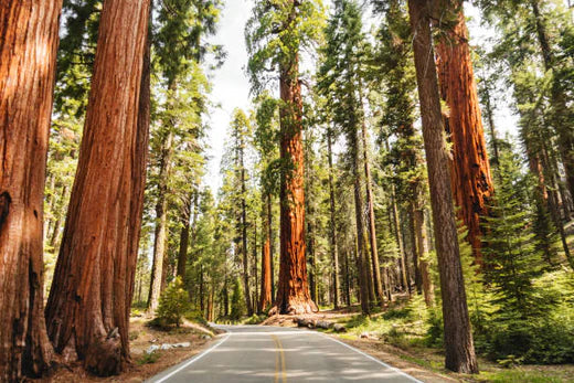 Top 5 Video Editing Agencies in California
