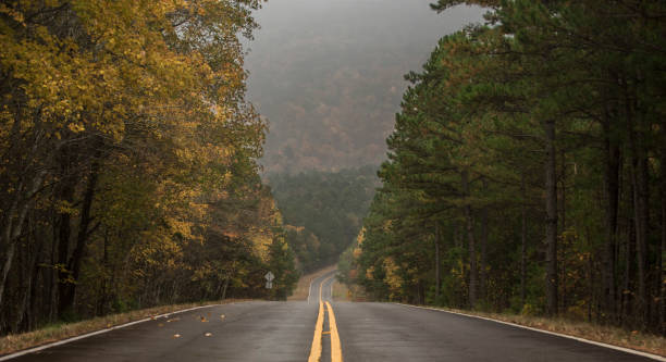 Top 5 Virtual Background Design Agencies in Arkansas