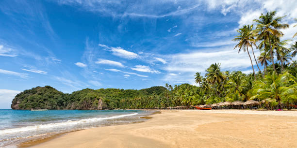 Top Direct Mail Design Agencies in Venezuela