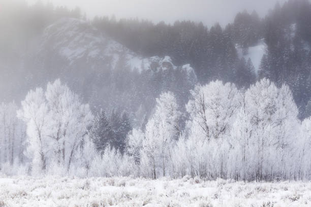 Top 5 Virtual Background Design Agencies in Wyoming