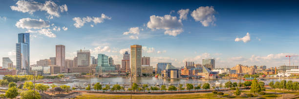 Top 5 Custom Video Graphic Agencies in Maryland