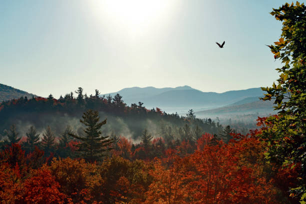Top 5 Mural Design Agencies in New Hampshire