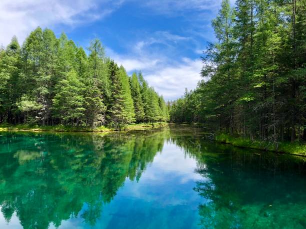 Top 5 Virtual Background Design Agencies in Michigan