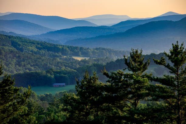 Top 5 Email Campaign Design Agencies in Vermont