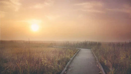 Top 5 Video Editing Agencies in Delaware