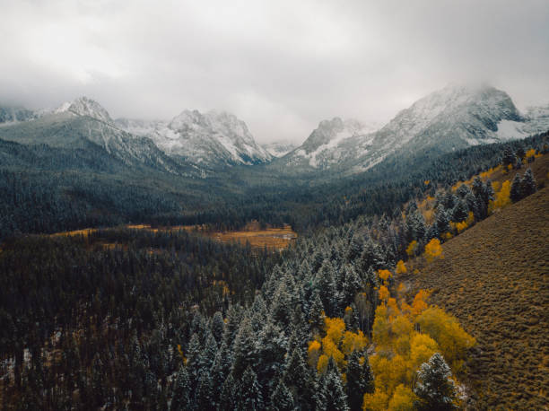 Top 5 Virtual Background Design Agencies in Idaho