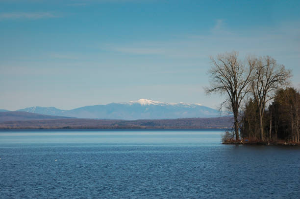 Top 5 Virtual Background Design Agencies in Vermont