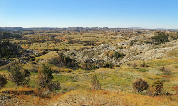 Top 5 Virtual Background Design Agencies in North Dakota