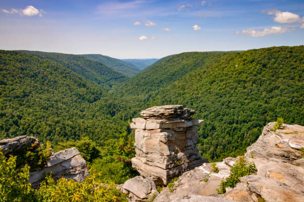 Top 5 Email Campaign Design Agencies in West Virginia