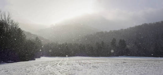 Top Animation & Motion Graphic Agencies in Vermont