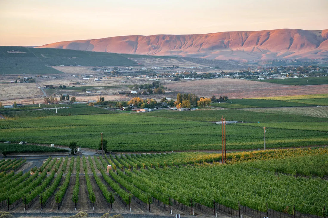 Top or Best Website Design Agencies and Companies in Yakima, Washington