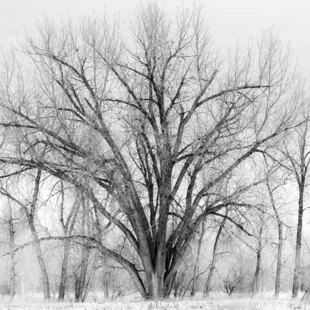 Top 5 Virtual Background Design Agencies in Nebraska