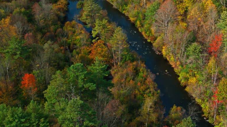 Top or Best Twitch Management Agencies and Companies in Lebanon, New Hampshire