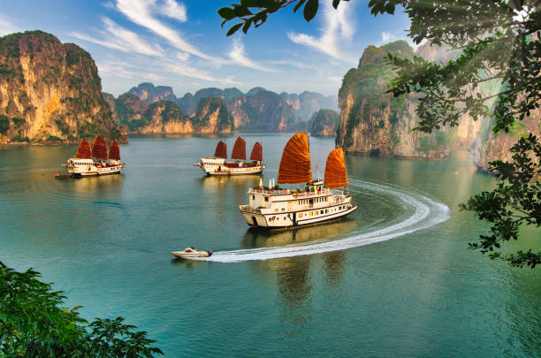 Top Animation & Motion Graphic Design Agencies in Vietnam