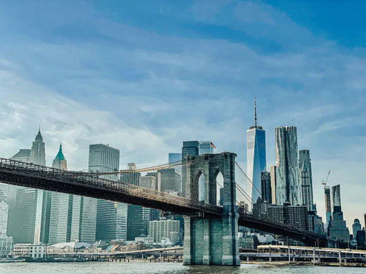 Top 5 Custom Video Graphic Agencies in New York