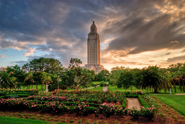 Top 5 Direct Mail Design Agencies in Louisiana