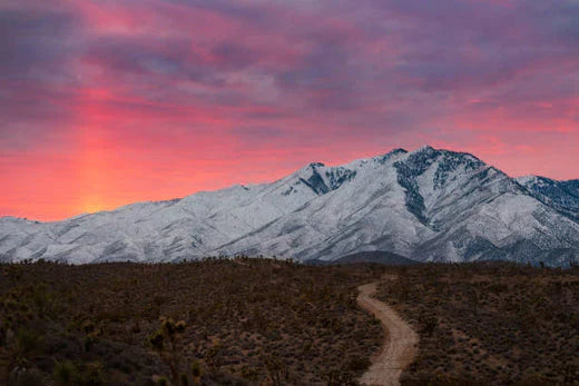 Top Video Editing Agencies in Nevada