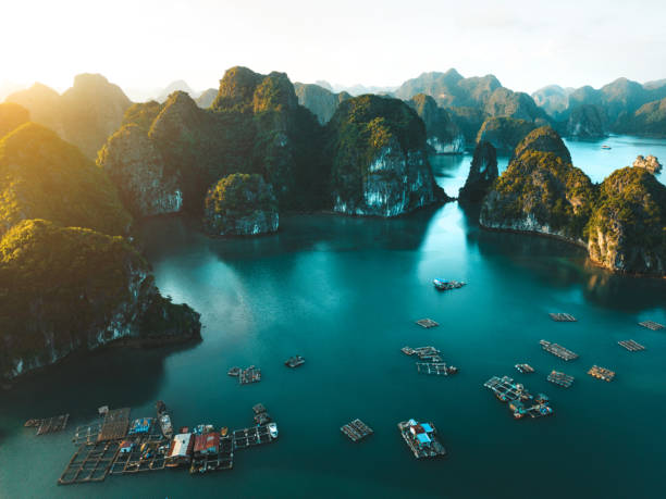 Top Direct Mail Design Agencies in Vietnam