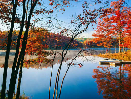 Top 5 Custom Video Graphic Agencies in West Virginia