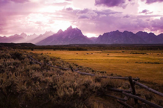Top Animation & Motion Graphic Agencies in Wyoming
