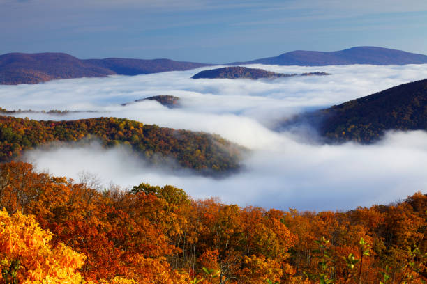 Top 5 Mural Design Agencies in Virginia